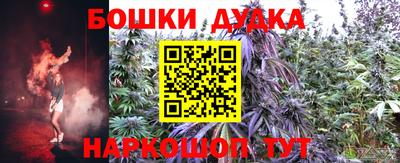 спиды Кинель