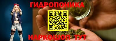 спиды Кинель