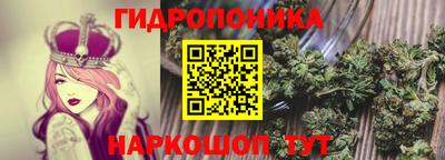 спиды Кинель